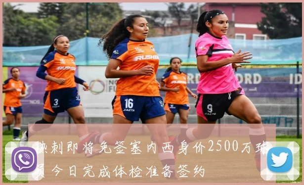 热刺即将免签塞内西身价2500万球员今日完成体检准备签约